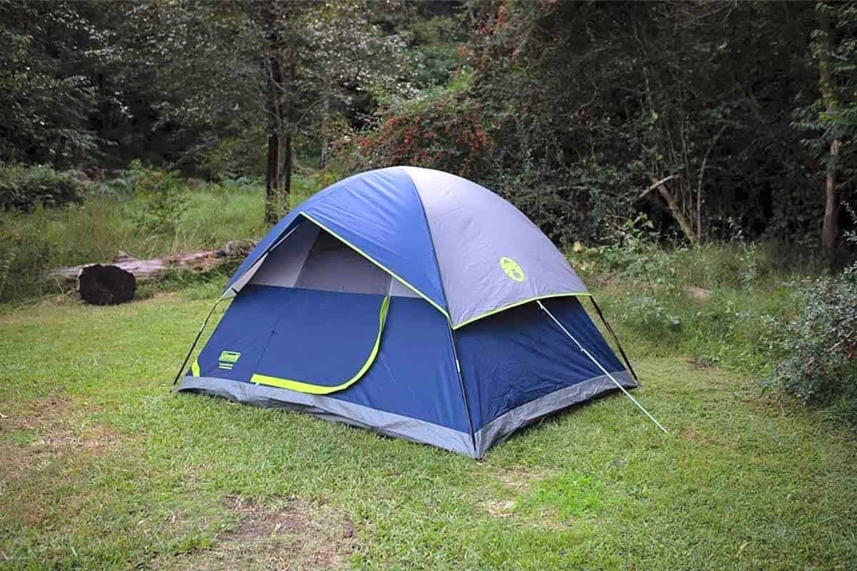 A dome tent on the edge of a woodland