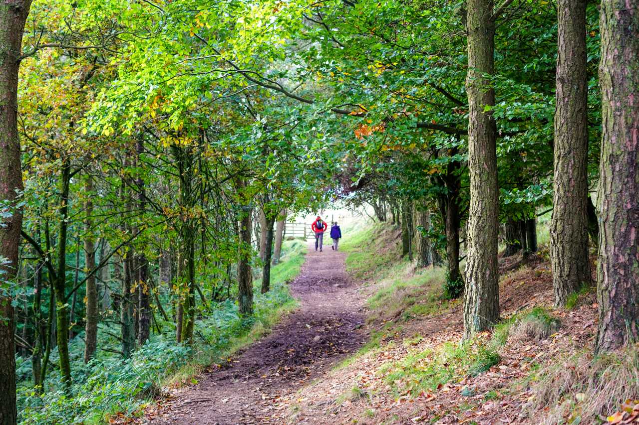 Your kids will learn to love nature on a visit to the Peak District National Park (Time Wheatley/Unsplash)
