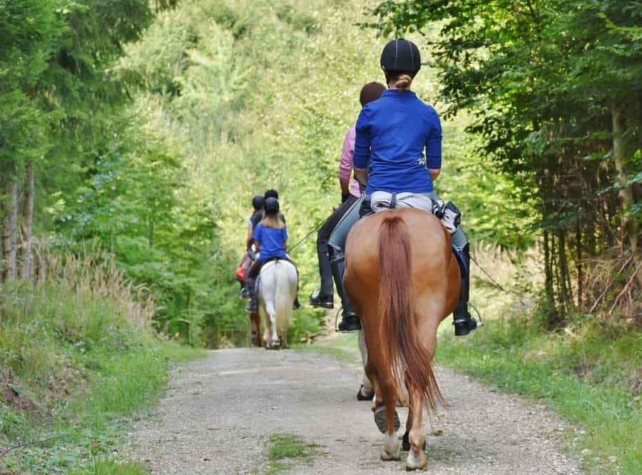 Join a guided pony trek to see the best of Exmoor (RitaE/Pixabay)