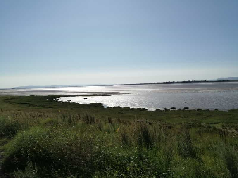 Across the Solway Firth from Annan (Stuart Harrison / Unsplash)