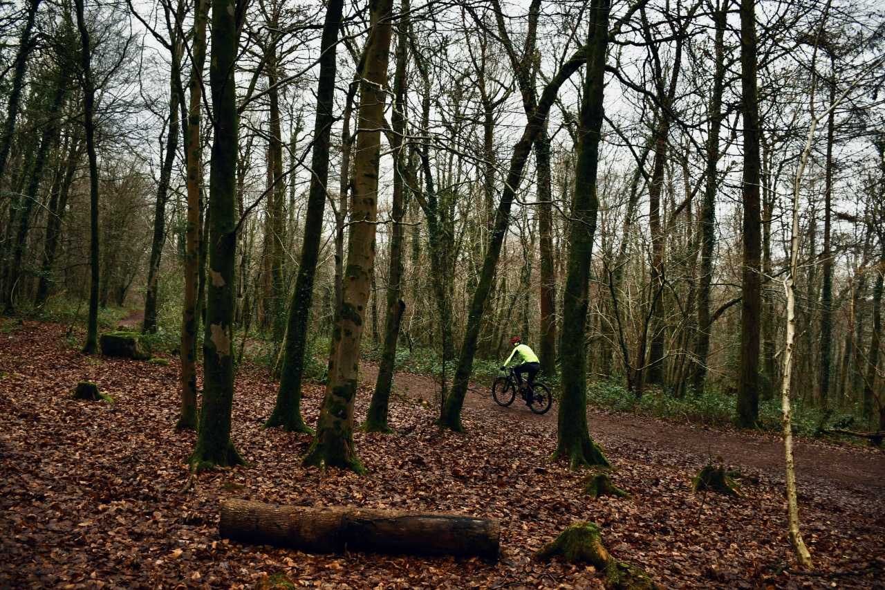 Cycling is a fantastic way to explore the New Forest (Mayukh Karmakar/Unsplash)
