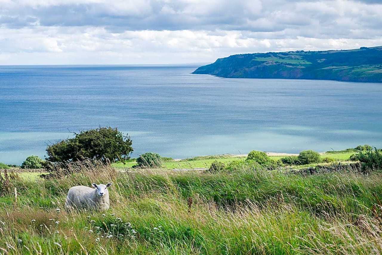 The North York Moors coastline 