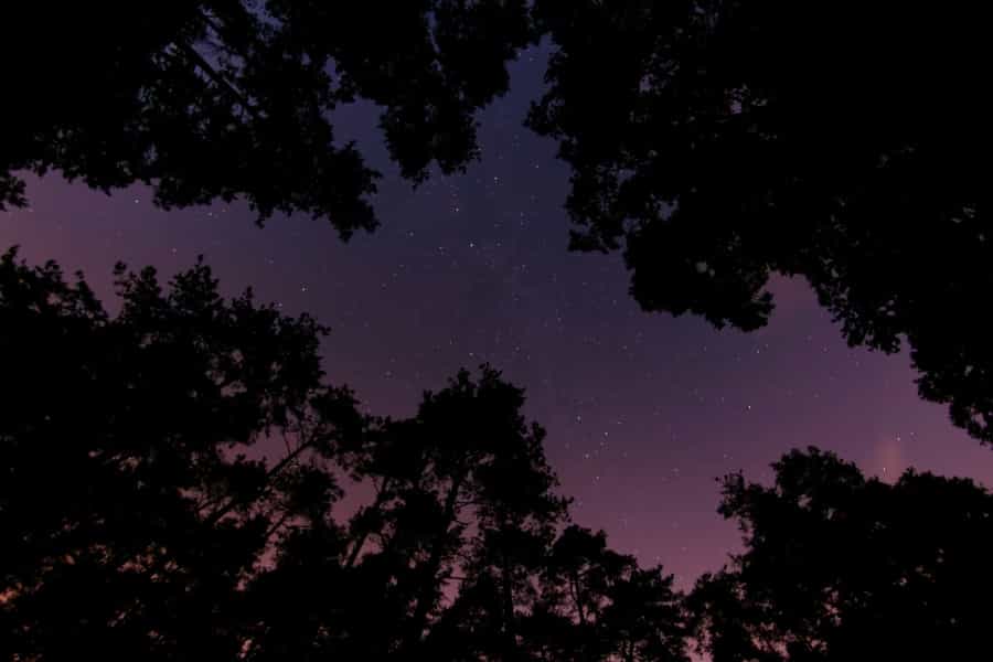 Choose a clear night to go stargazing (Jacek Raniowski/Unsplash)