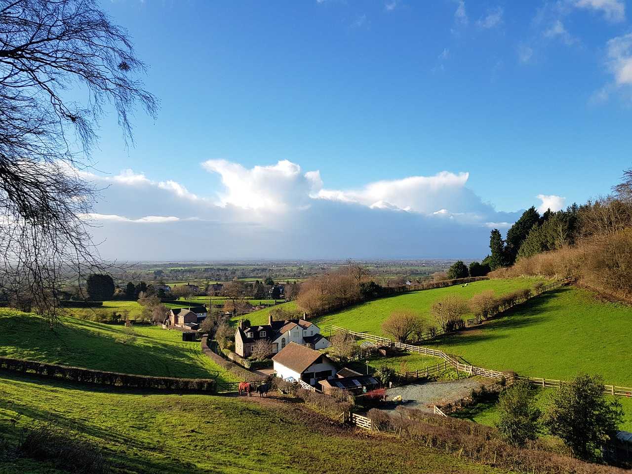 The Cheshire countryside (Andy Wallace on Pixabay)