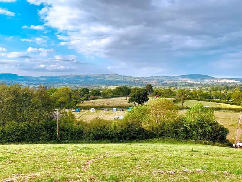 Peaceful adults-only pitches at Hobby Farm