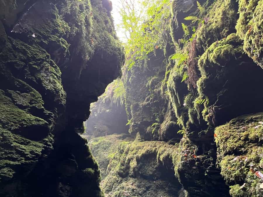 Exploring Lydford Gorge (Andy Goldsby/Unsplash)
