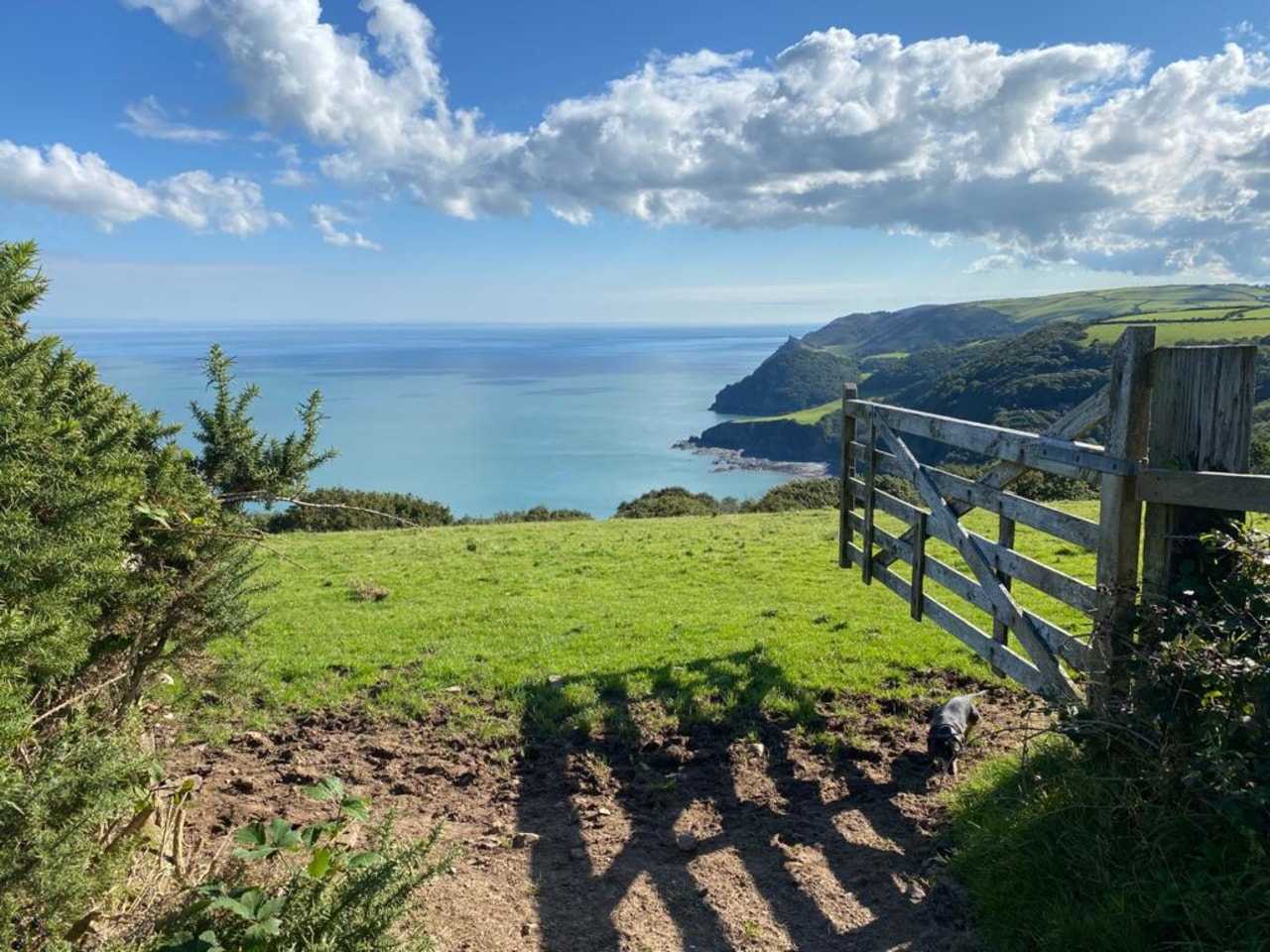 The Pitchup guide to a dozen of Devon's best beaches