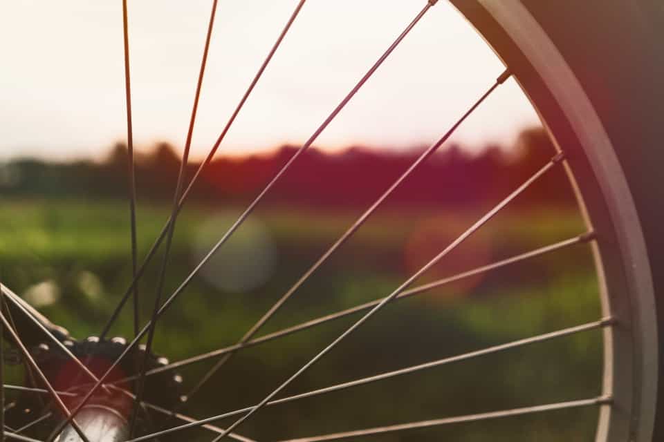 Bicycle wheel by Clint McKoy