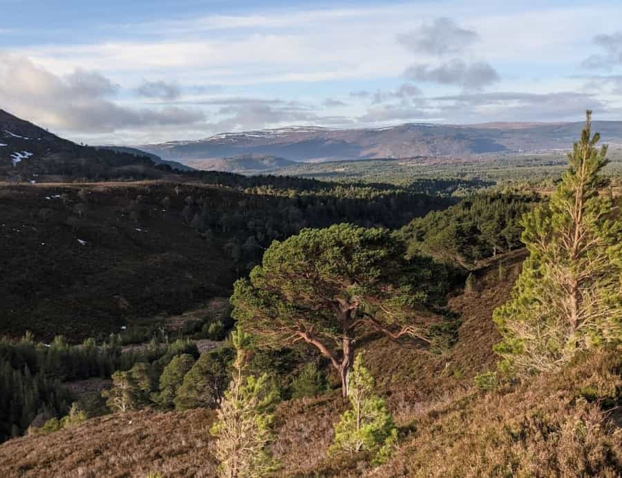 The Lairig Ghru in late January by Jacob Brennan 