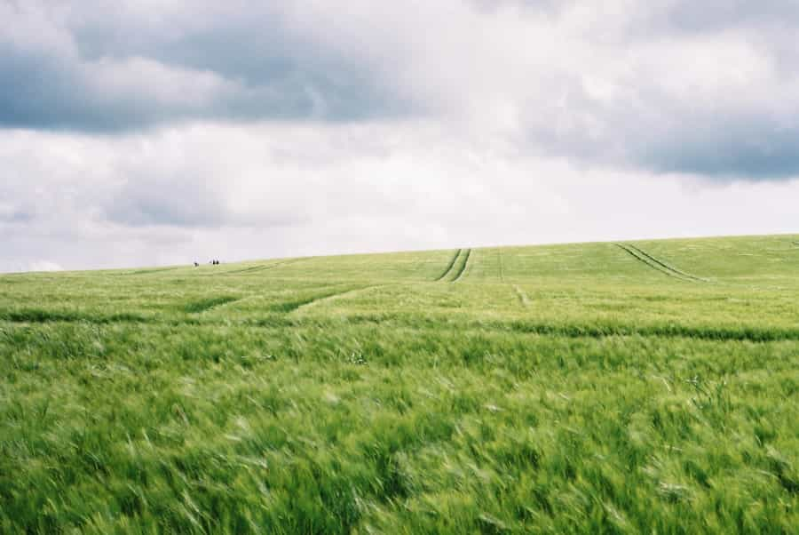 Find peace in the fields of Avebury around the stone circle