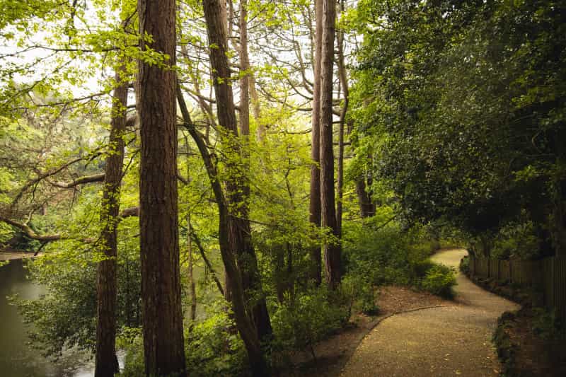 Pathways of Williamson Park (Tom Morbey on Unsplash)