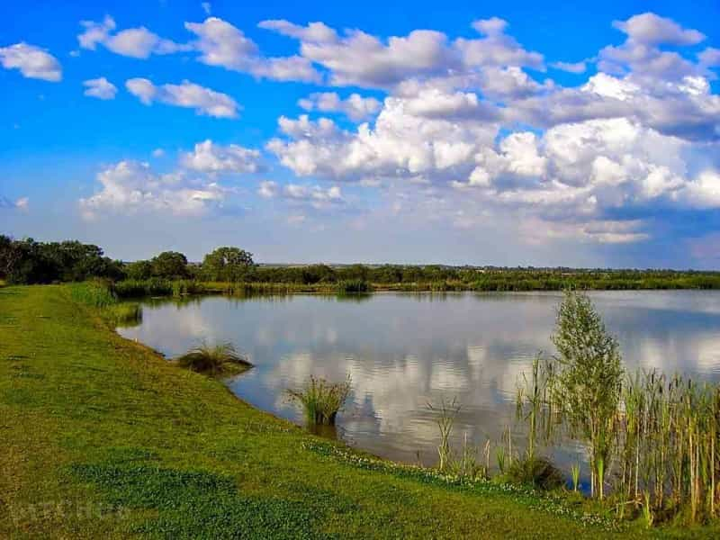 A lakeside view in Cambridgeshire