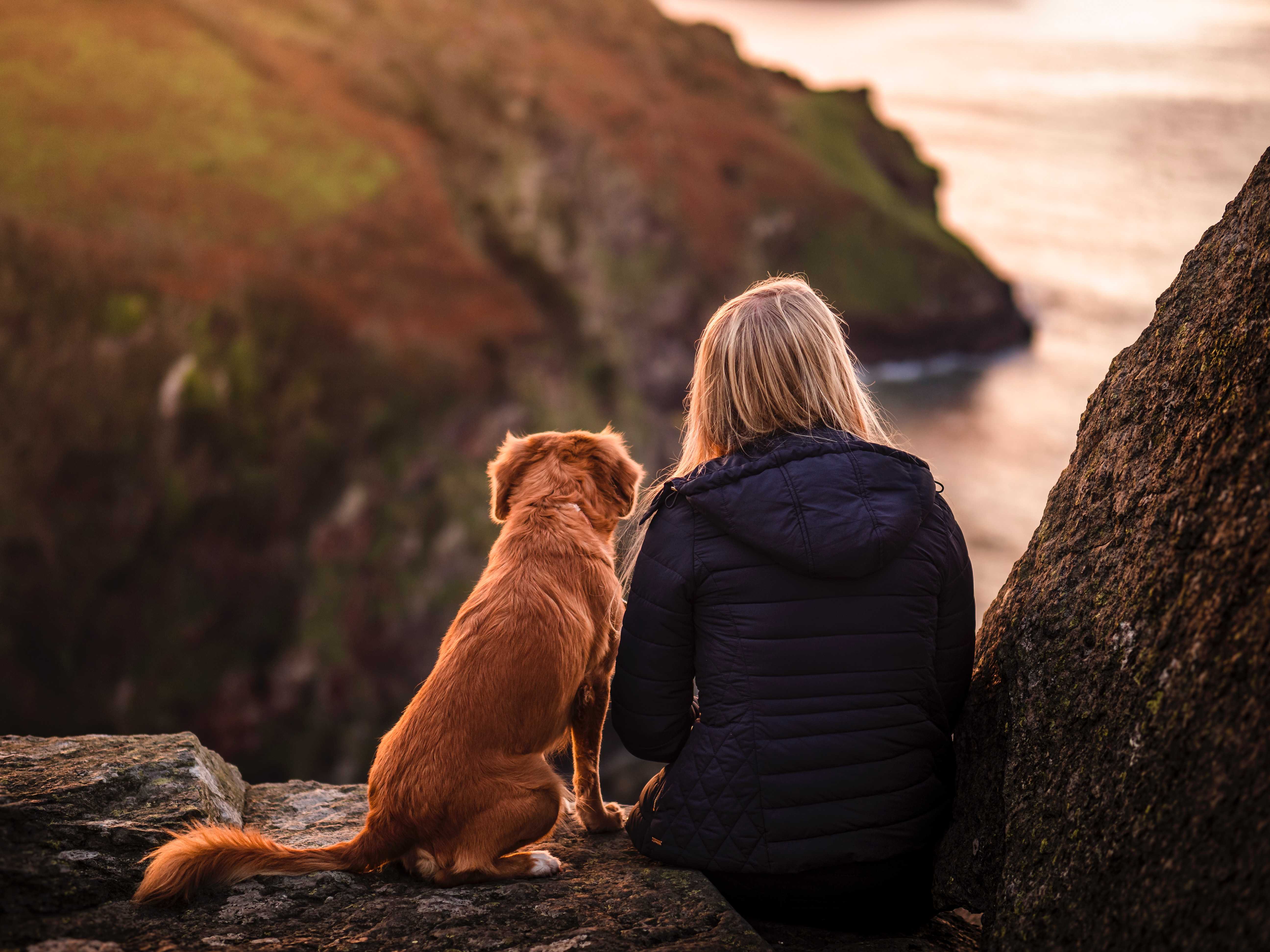 Walking your dog on the South West Coast Path (Jamie Street on Unsplash)