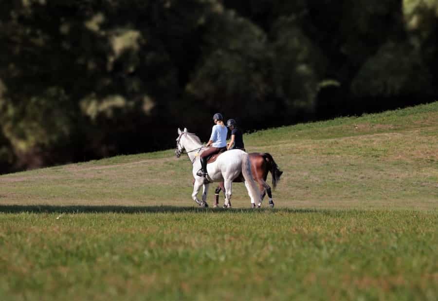 Hack out independently in Exmoor National Park (NoName_13/Pixabay)
