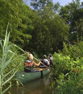 Boating on the Broads. Pic courtesy of VisitEngland.