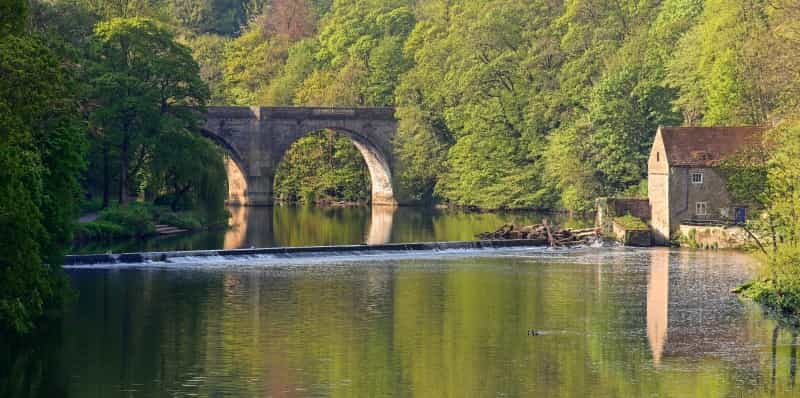 The riverbanks in Durham City (David Ross on Unsplash)