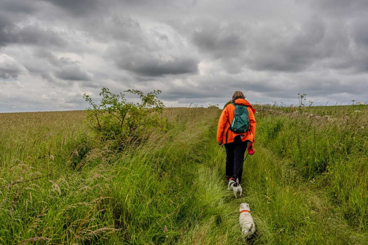 Appreciating the wide open spaces of the North York Moors (Sue Winston/Unsplash)