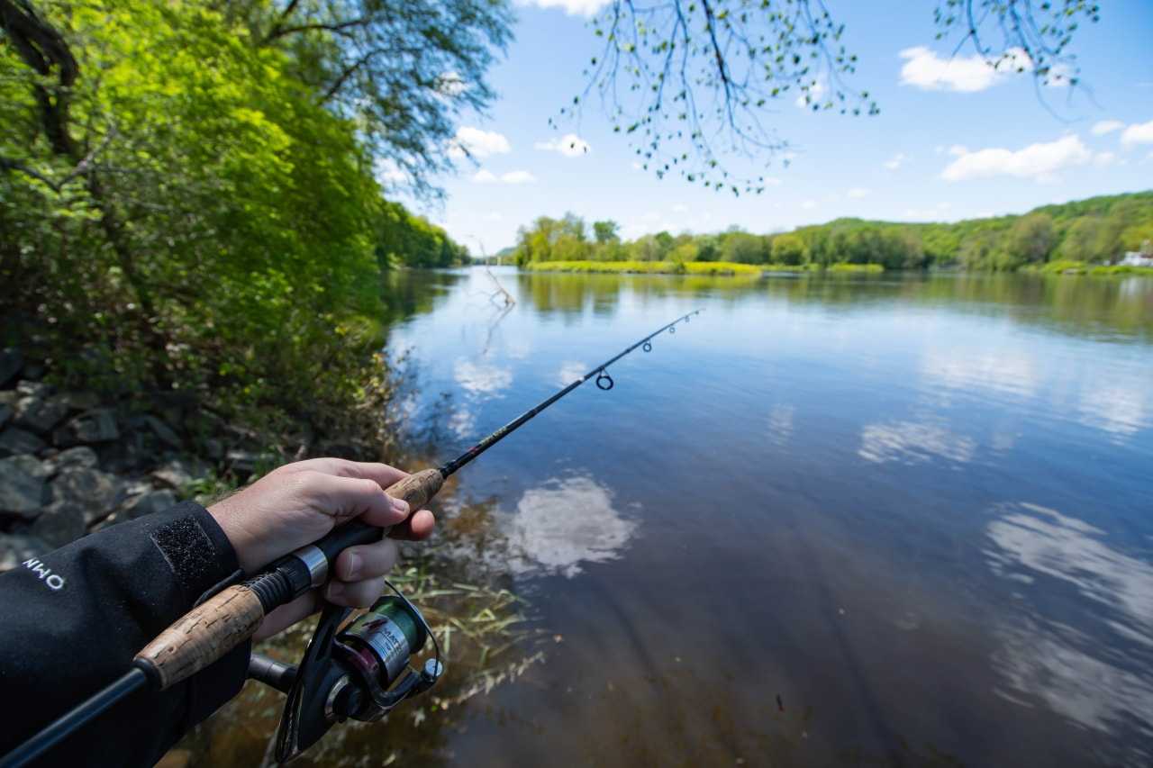 Guide To Carp Fishing In South Yorkshire