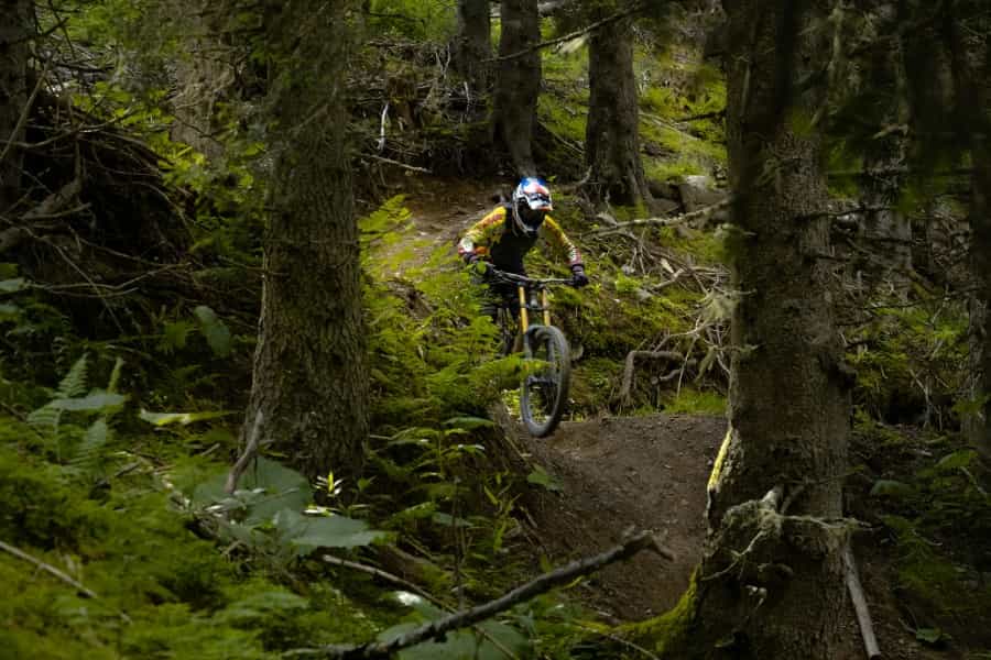 Thrunton woods mtb outlet