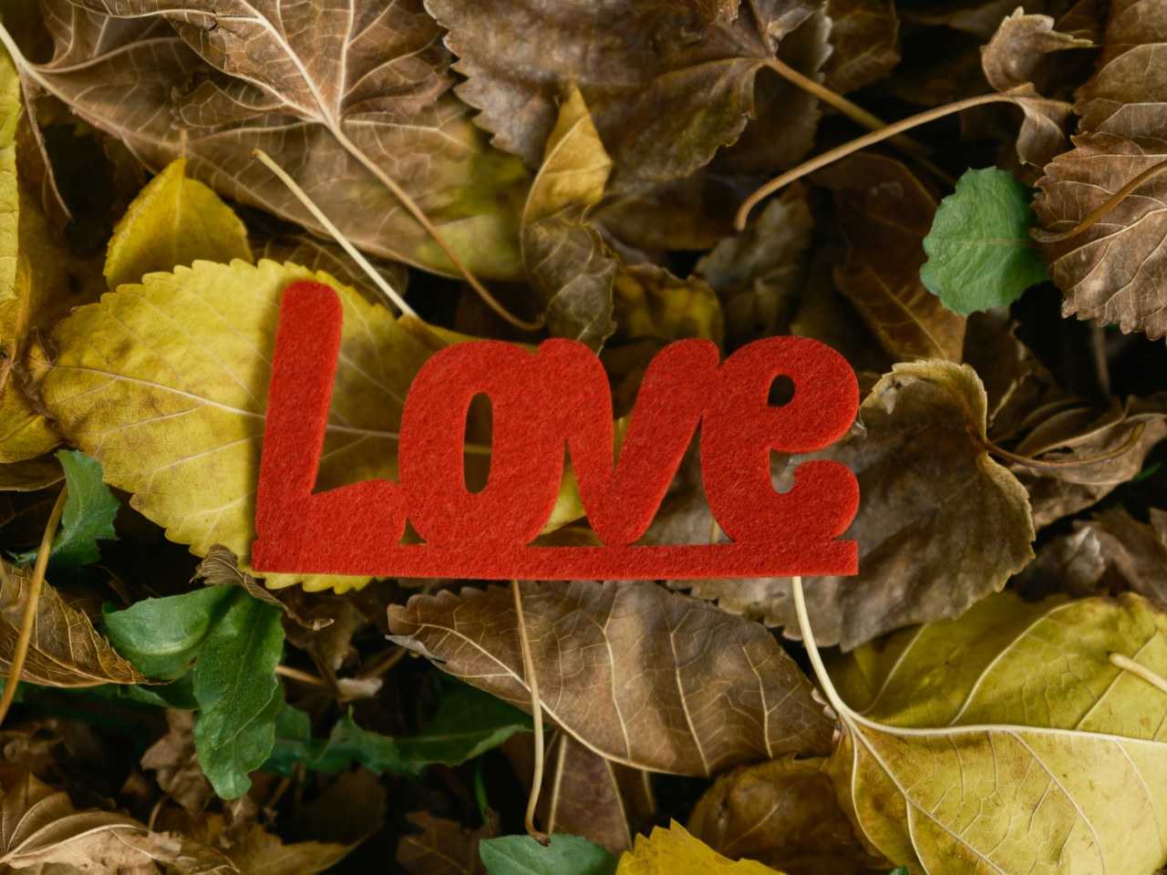 Red 'Love' letters on a leafy background