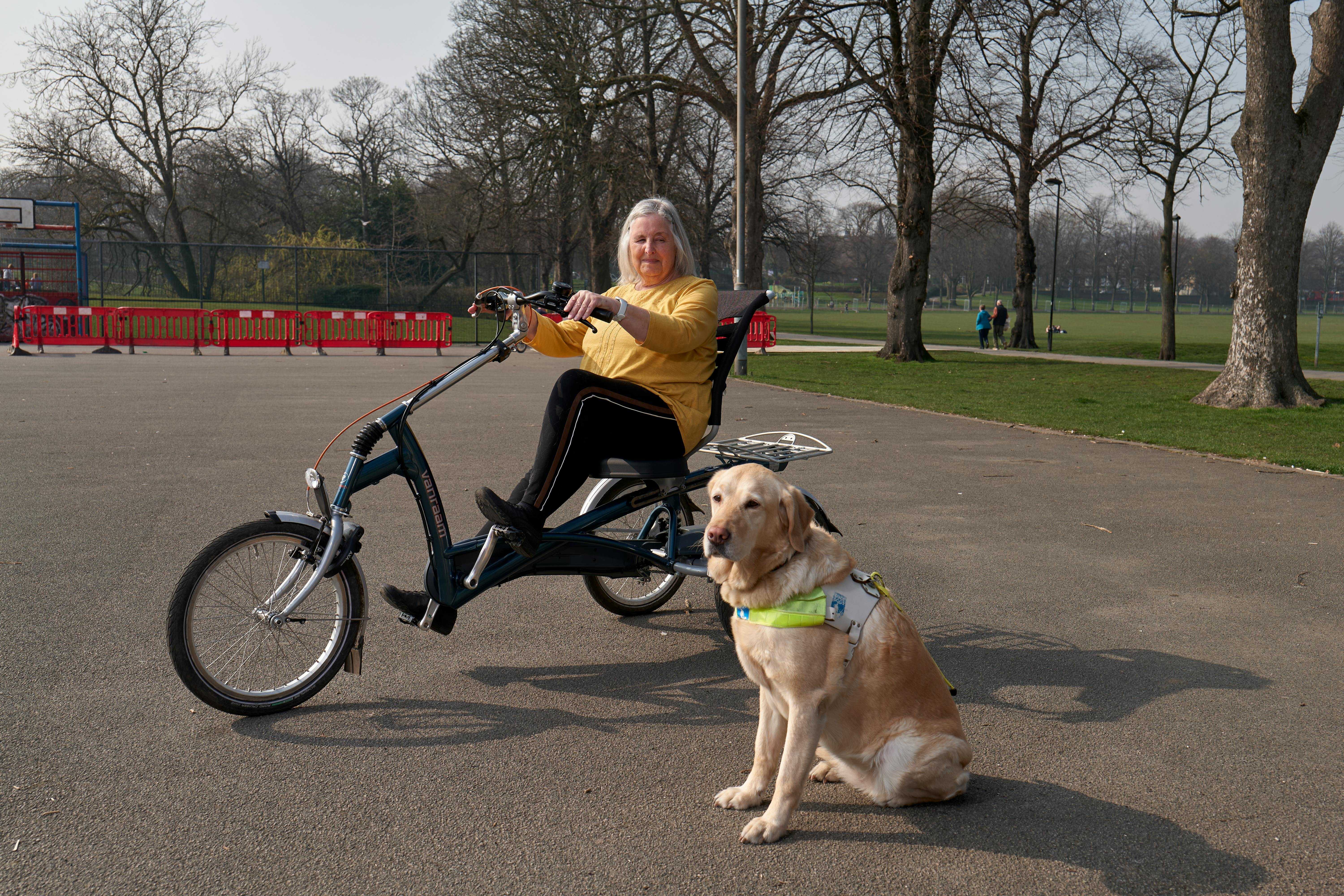 A person sitting on a tricycle, while their guide dog sits beside
