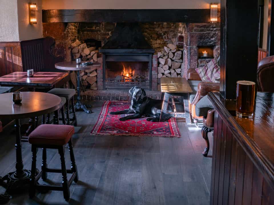 Dog in front of fire in pub