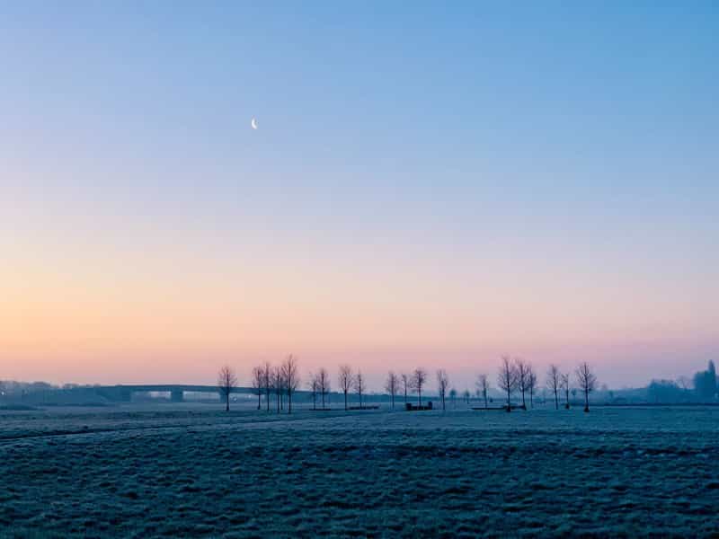 A sublime scene of an evening in the Cambridgeshire countryside (Laarni Navales on Unsplash)
