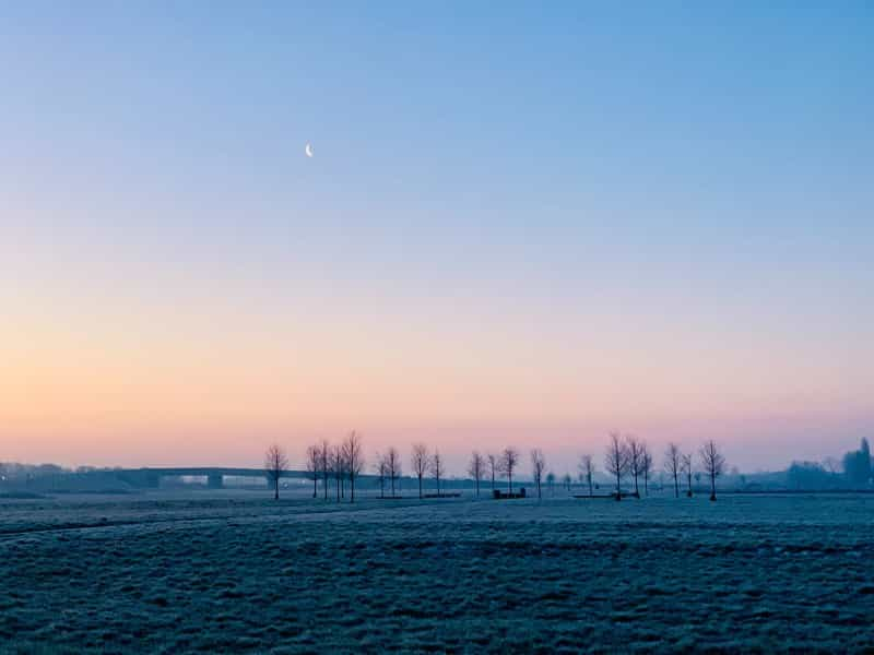 A sublime scene of an evening in the Cambridgeshire countryside (Laarni Navales on Unsplash)