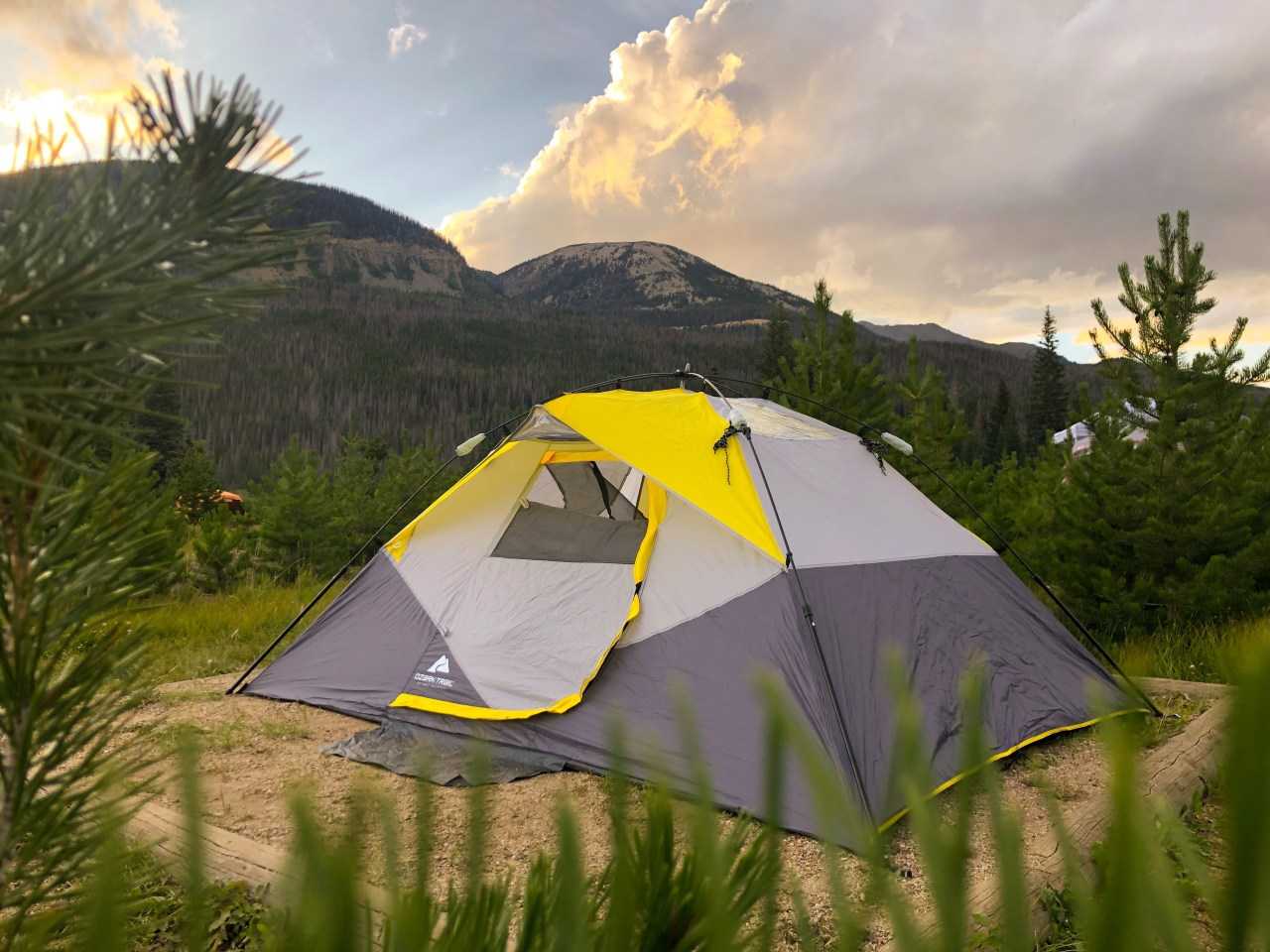 Tent pegs securing tent in the forest (Kevin Payan / Unsplash)