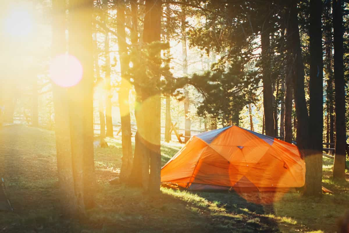 Tent pitched in the shade on a summer’s day (Todd Trapani / Unsplash)