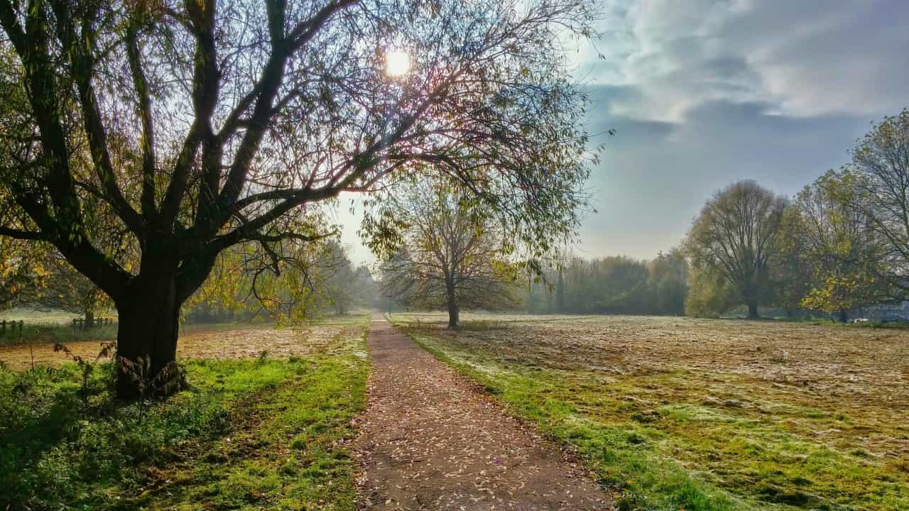 Explore some sublime woodland paths in the area (Toni Lluch on Unsplash)