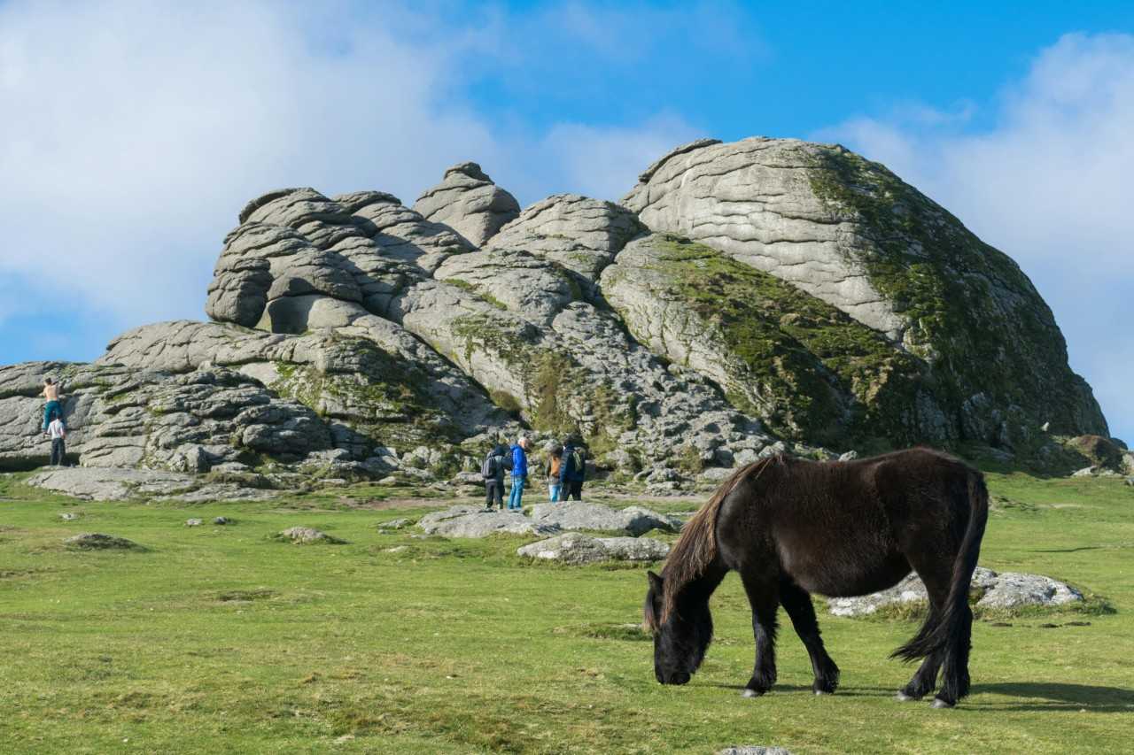 Walking past a tor in Dartmoor National Park (Veronica White/Unsplash)