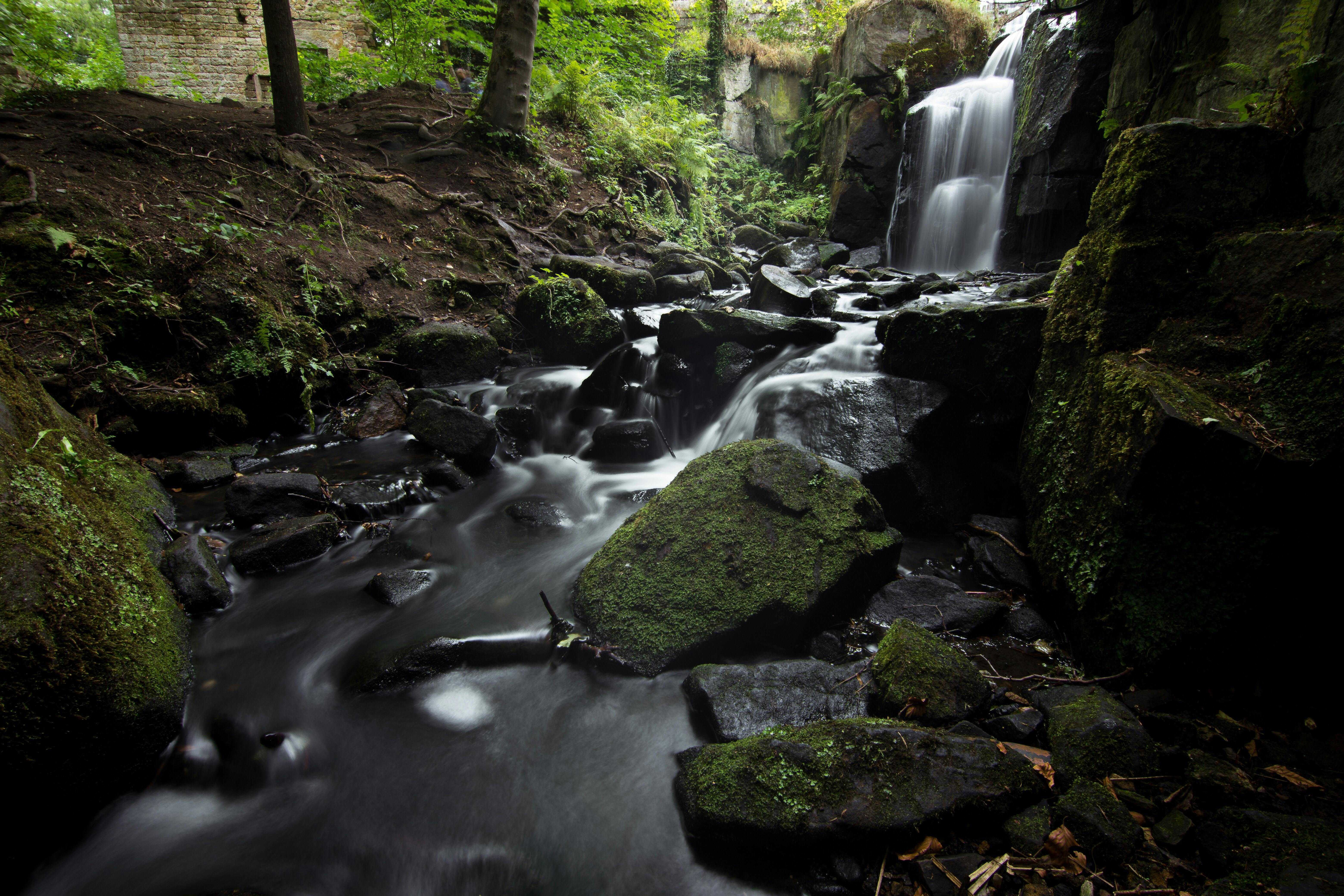 Waterfall running high after rain in Derbyshire’s Padley Gorge (TruShotz/Pexels)