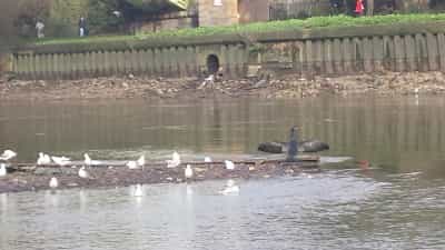 Posing on the Thames