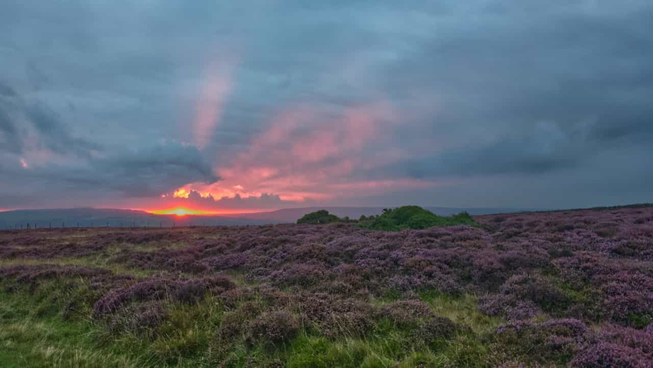 Sunset over a swathe of heather moorland on the North York Moors (Andy Carne/Unsplash)