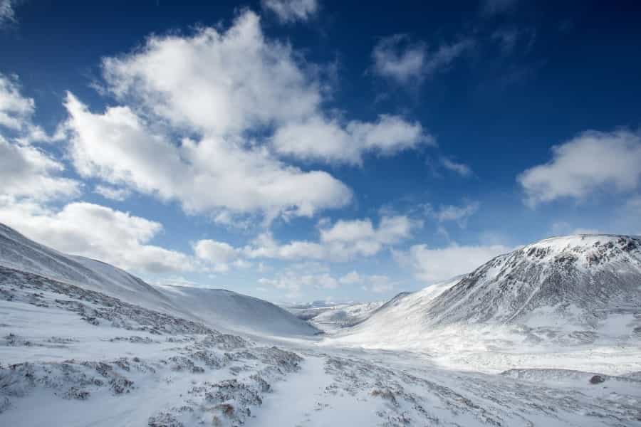 Cairngorms National Park (Daniel Hartog/Unsplash)