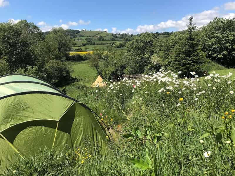 Hillside camping in Powys