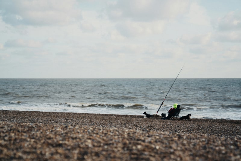 The dog-friendly beach at Dunwich (Alexander Ward/Unsplash)