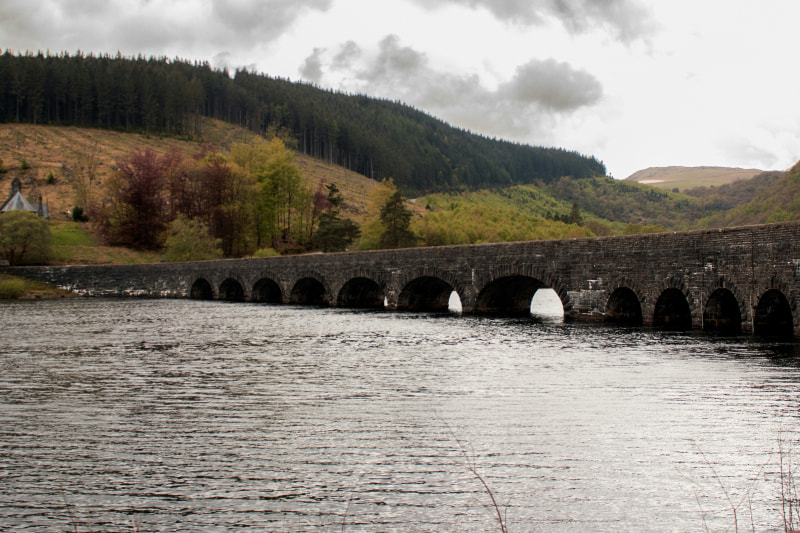 There are several great fishing spots around the Elan Valley (Callum Blacoe/Unsplash)