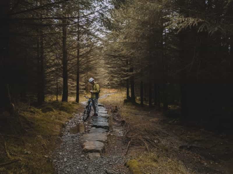 Bring a bike for great trails in Grizedale Forest (Unsplash)