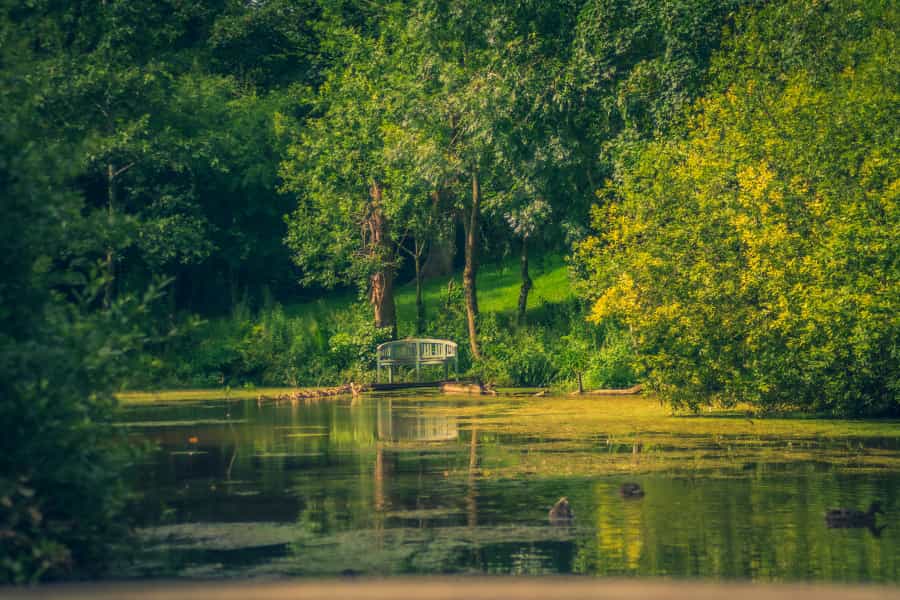 Yelverton (Brandon McDonald/Unsplash)