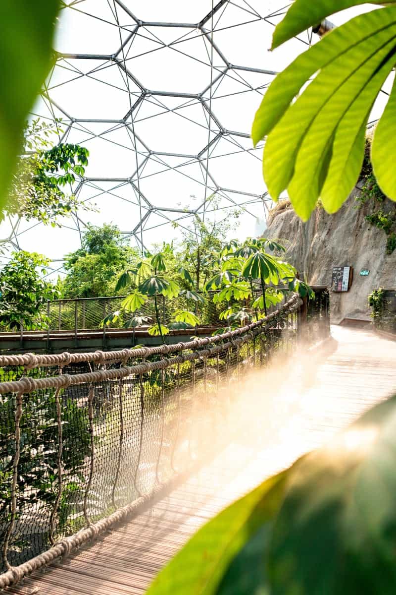 The Rainforest Biome at the Eden Project 