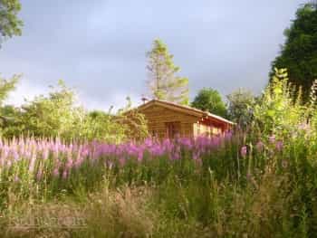 Cabin at North Lodge