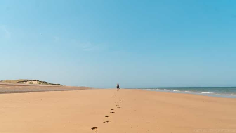 Wide open skies and stretches of sand at Blakeney Point (Kier Allen on Unsplash)