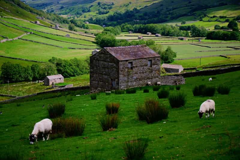 Swaledale barns (Ian Cylkowski/Unsplash)