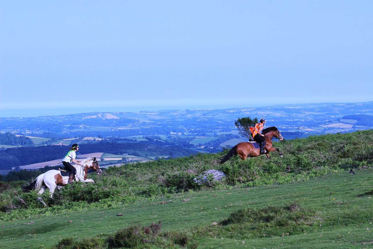Galloping across moorland in the national park (Marta-filipiuk0/Pixabay)
