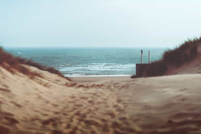 The renowned sand dunes at Camber Sands beach