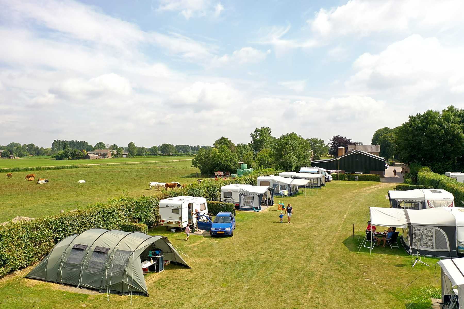 Grassy caravan pitches.