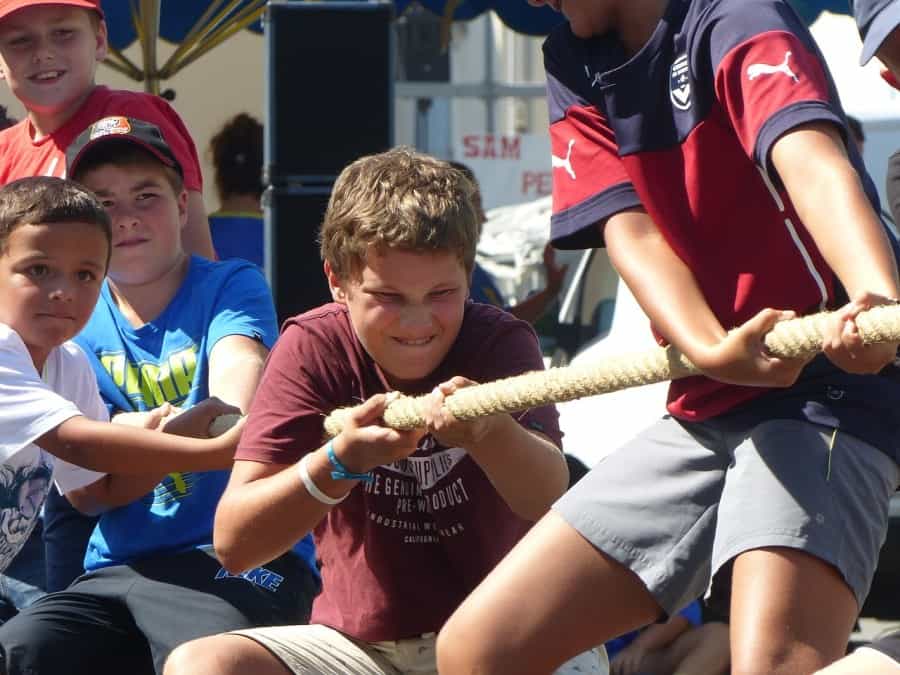 Tug of War, New Forest Show (Hreisho/Pixabay)