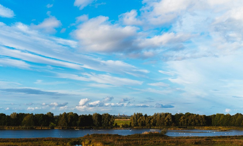Views to Ely Cathedral from Ely Country Park (Phil Hearing/Unsplash)